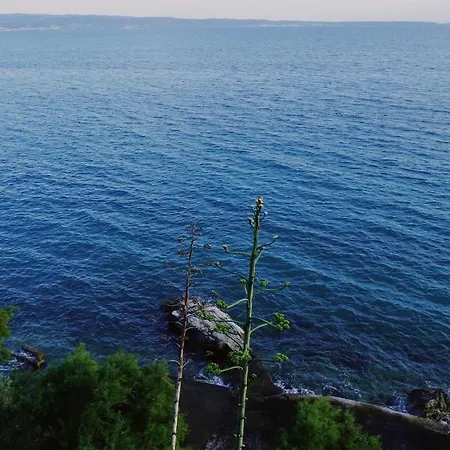 Apartment Doel Split