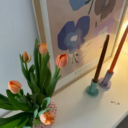 Doel-parking , 2 Minutes To The Split